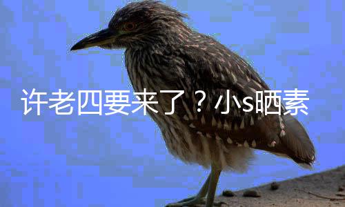 己许老小像怀照调个月孕三来了侃自四要s晒素颜